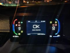 BYD Seagull Honor Edition 305km Free Version - photo 20