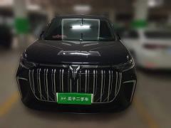 Voyah Dream PHEV Extended Range Luxury Edition - ფოტო 2