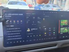Li Auto i8 Standard Edition - photo 11