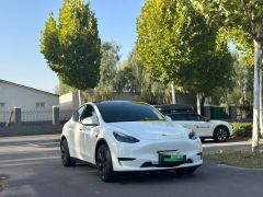 Tesla Model Y 554km Rear-Wheel Drive Edition - photo 3