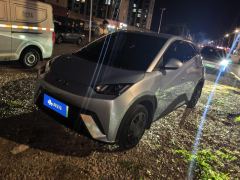 BYD Seagull Honor Edition 305km Free Version - ფოტო 1