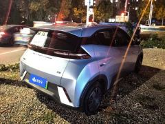 BYD Seagull Honor Edition 305km Free Version - ფოტო 2