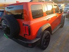 Tank 300 Off-Road Edition 2.0T Conqueror - photo 6