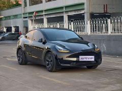 Tesla Model Y Rear-Wheel Drive - ფოტო 3