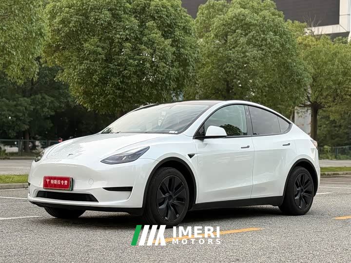 Tesla Model Y Rear-Wheel Drive - автомобиль из Китая