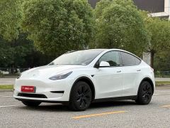 Tesla Model Y Rear-Wheel Drive - фото 1