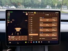 Tesla Model Y Rear-Wheel Drive - фото 16