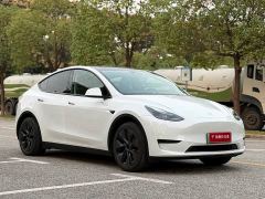 Tesla Model Y Rear-Wheel Drive - фото 3