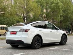 Tesla Model Y Rear-Wheel Drive - фото 4