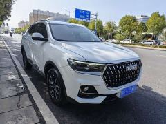 Haval H6 National Trend Edition 1.5T Automatic Urban Version - ფოტო 3