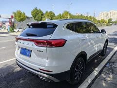 Haval H6 National Trend Edition 1.5T Automatic Urban Version - ფოტო 4