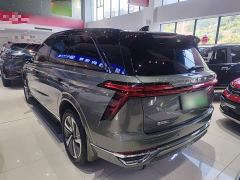 WEY Blue Mountain Four-Wheel Drive Max - фото 4