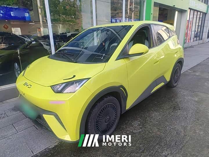 BYD Seagull Vitality Edition - ავტომობილი ჩინეთიდან