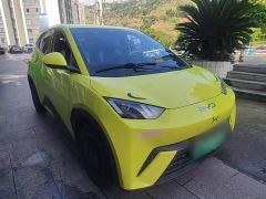BYD Seagull Vitality Edition - ფოტო 3