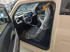 Geely Panda Mini 210km Vitality Edition - ფოტო 14