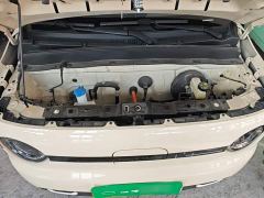 Geely Panda Mini 210km Vitality Edition - ფოტო 19