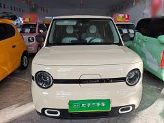 Geely Panda Mini 210km Vitality Edition - ფოტო 2