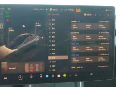 Tesla Model Y Rear-Wheel Drive - ფოტო 14