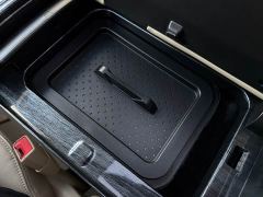 Buick GL8 Land Executive Cabin 652T Luxury - photo 17