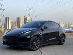 Tesla Model Y Performance All-Wheel Drive - photo 1