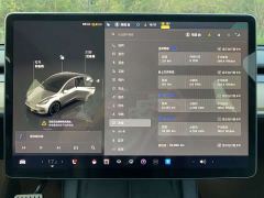 Tesla Model Y Performance All-Wheel Drive - photo 11