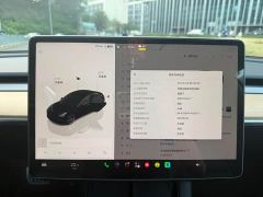 Tesla Model 3 Performance All-Wheel Drive - ფოტო 10