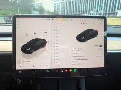 Tesla Model 3 Performance All-Wheel Drive - ფოტო 8