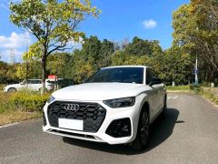 Audi Q5L 40 TFSI Luxury Dynamic Edition - ფოტო 1