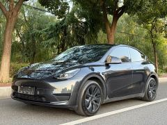 Tesla Model Y Rear-Wheel Drive - ფოტო 1