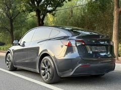 Tesla Model Y Rear-Wheel Drive - ფოტო 3
