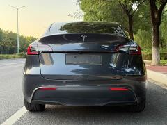 Tesla Model Y Rear-Wheel Drive - ფოტო 4
