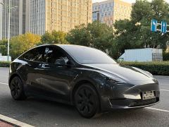Tesla Model Y Rear-Wheel Drive - ფოტო 7