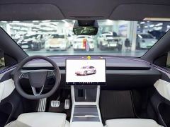 Tesla Model Y L Long Range All-Wheel Drive - ფოტო 10