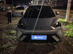 BYD Seagull Honor Edition 305km Free Version - photo 3