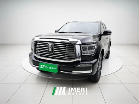 2024 Tank 500 New Energy 2.0T Hi4-T 37.1kWh - ავტომობილი ჩინეთიდან