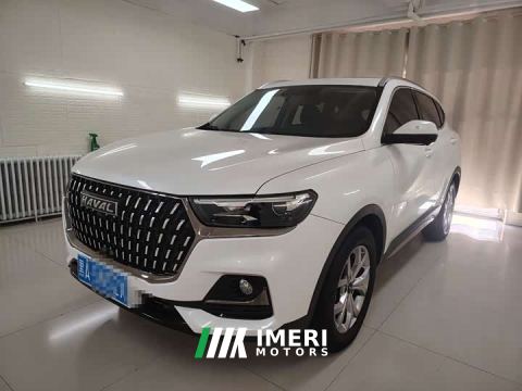 2022 Haval H6 1.5T Automatic Champion Edition - ავტომობილი ჩინეთიდან