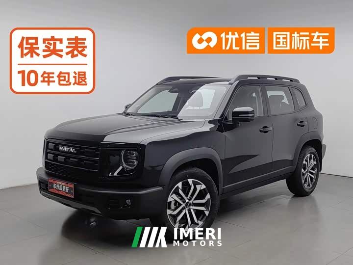 Great Wall Dachshund 1.5T DCT Border Collie Edition - автомобиль из Китая