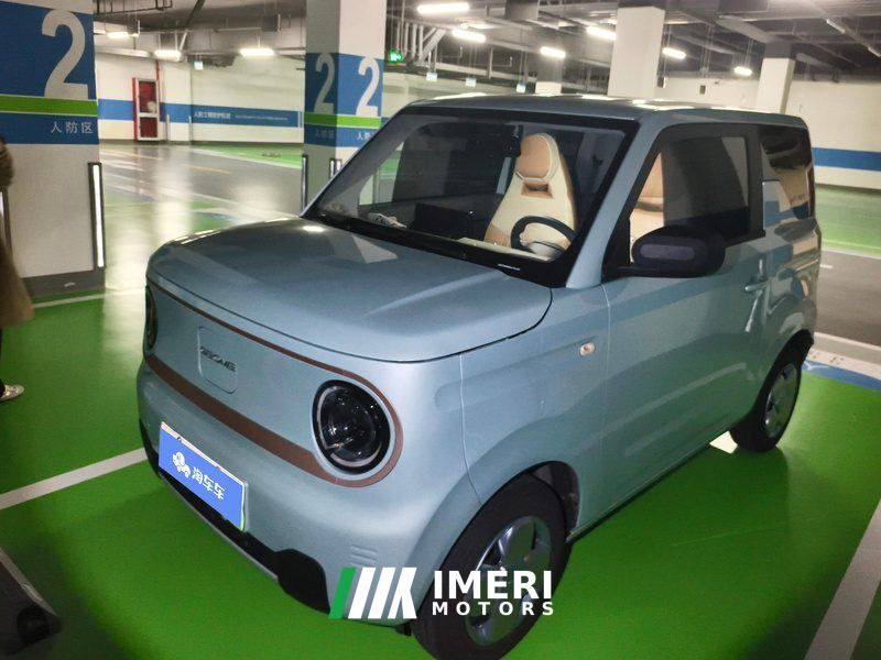 Geely Galaxy Panda mini 200km Endurance Bear - car from China