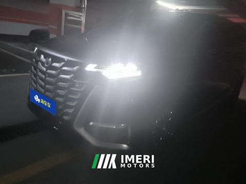 2025 Denza D9 DM-i 1.5T 190km AWD Version - ავტომობილი ჩინეთიდან