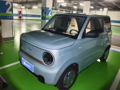Geely Galaxy Panda mini 200km Endurance Bear - photo 1