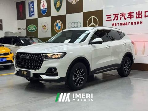 2024 Haval H6 National Trend Edition 1.5T Automatic Urban Version - ავტომობილი ჩინეთიდან