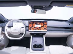 eπ007 Pure Electric 565 AWD Max Pilot Edition - photo 19