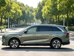 WEY Blue Mountain Four-Wheel Drive Max - photo 3