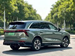 WEY Blue Mountain Four-Wheel Drive Max - photo 8