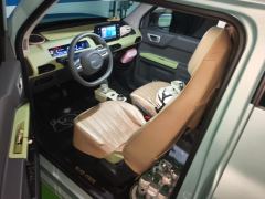 Geely Galaxy Panda mini 200km Endurance Bear - ფოტო 14