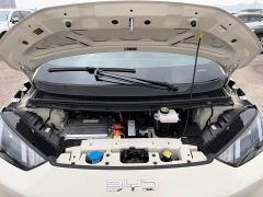 BYD Seagull Glory Edition 305km Vitality Version - фото 14