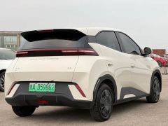 BYD Seagull Glory Edition 305km Vitality Version - фото 4