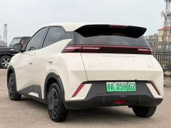 BYD Seagull Glory Edition 305km Vitality Version - фото 6
