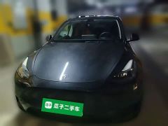 Tesla Model Y Rear-Wheel Drive - ფოტო 2