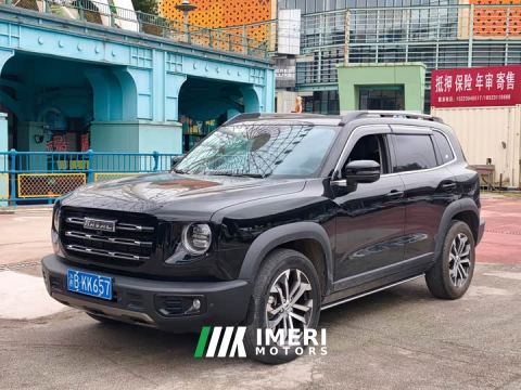 2023 Great Wall Dachshund 1.5T DCT Two-Wheel Drive Border Collie Edition - car from China